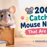 Catchy Mouse